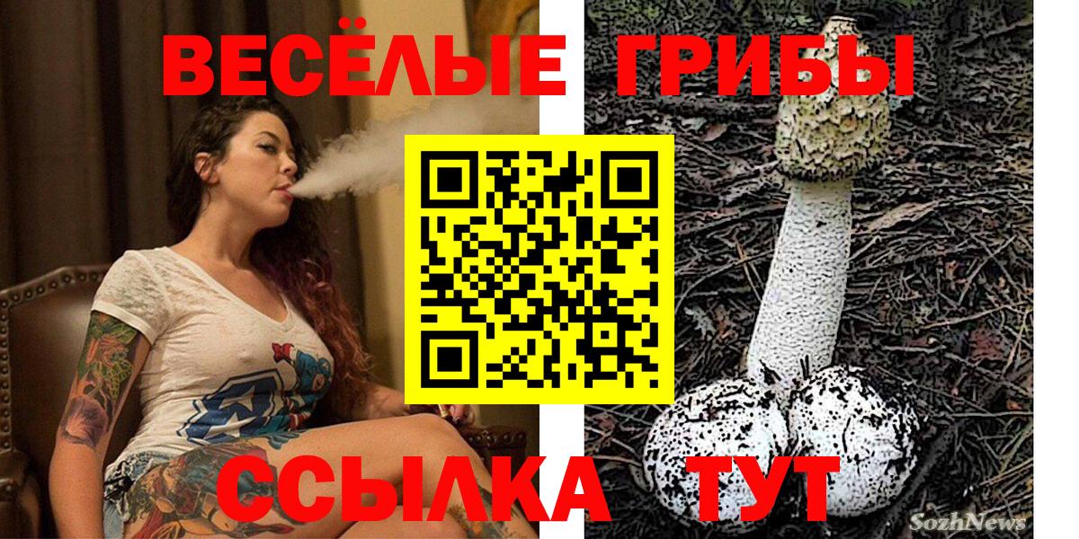 Новокуйбышевск  купить закладку  Вход с VPN  Галлюциногенные грибы Psilocybine cubensis 